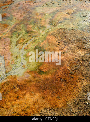 Abstract pattern dans la boue causée par les bactéries et les dépôts de minéraux dans la région de West Thumb Geyser Basin, Yellowstone National P Banque D'Images