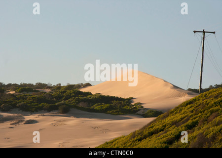 Le vent souffle le sable, Maitlands beach, Port Elizabeth, Eastern Cape, Afrique du Sud Banque D'Images