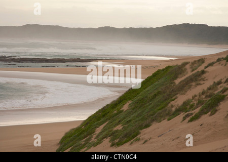 Mer et dunes de sable et de forêts côtières Maitlands beach, Port Elizabeth, Eastern Cape, Afrique du Sud. Banque D'Images