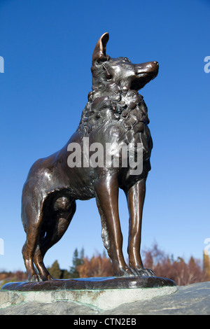 Sheepdog statue, Lake Tekapo Nouvelle Zélande Banque D'Images