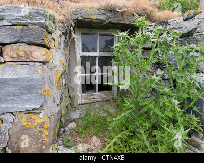Old Croft House Fenêtre, Berneray, Ecosse Banque D'Images