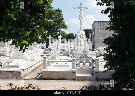 Cimetière colon, le plus grand cimetière de l'Amérique centrale, La Havane, Cuba Banque D'Images