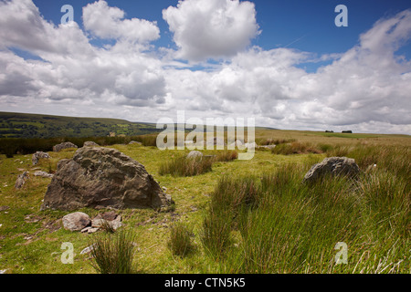 Llechart carn (Bague Cairn) Stone Circle, Rhyd-y-FRO, West Glamorgan, Pays de Galles, Royaume-Uni Banque D'Images