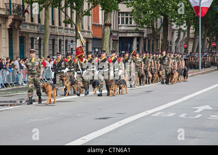 Le maître-chien militaire et les frais qu'il parade dans les rues de Lille lors de la fête de la Bastille Banque D'Images