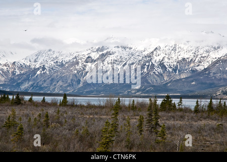 Un Cessna survole le lac Kluane et la vallée de la rivière Slims dans le parc national Kluane. Montagnes St. Elias, territoire du Yukon, Canada. Banque D'Images