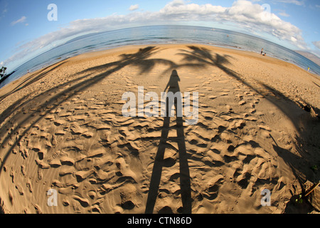 Seul sur une plage de Maui, le sable couvert de pied s'imprime. Banque D'Images