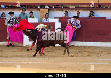 Torero espagnol Manuel Diaz Gonzalez El Cordobes. 21 juillet 2012, la Linea de la Concepcion, Espagne. Banque D'Images