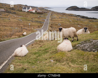 L'autre par une seule piste Road, Stockinish, Isle of Harris Banque D'Images