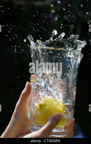 Verser de l'eau et en splahing verseuse en verre rempli de citrons sur la journée ensoleillée. Banque D'Images