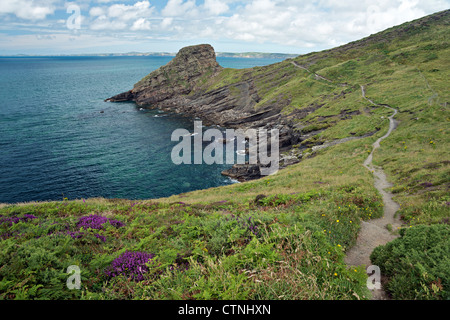 Chemin de la côte du Pembrokeshire Banque D'Images