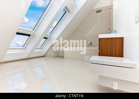 Salle de bains moderne ensoleillée de l'appartement contemporain avec regarder à travers la fenêtre de toit. Banque D'Images