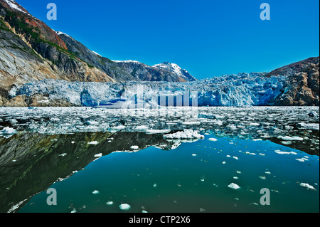 La glace d'été en face de float icebergs au sud du glacier Sawyer, Tracy Tracy Arm dans Arm-Fords Souhteast Terreur Désert, Alaska Banque D'Images