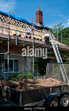 Du remplacement d'un toit de chaume sur country cottage Banque D'Images