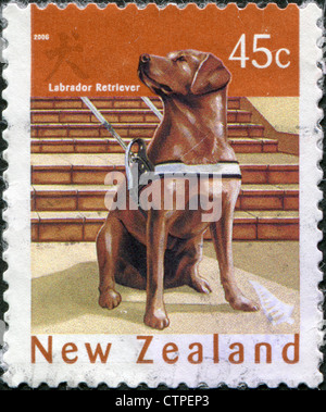 Timbres-poste imprimés en Nouvelle-Zélande, est dédiée à la nouvelle année 2006 (année du chien), montre un Labrador retriever, vers 2006 Banque D'Images