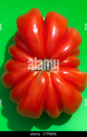 Rose géant Tomates (Zapotec Pleated) sur fond vert Banque D'Images