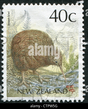 Nouvelle Zélande - circa 1991 : timbres-poste imprimés en Nouvelle-Zélande, montre l'Île du Nord Brown Kiwi, circa 1991 Banque D'Images