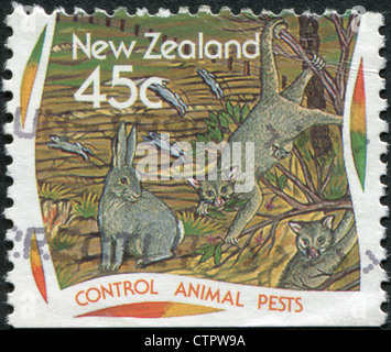 Nouvelle Zélande - circa 1995 : timbre imprimé en Nouvelle-Zélande, dédié à la lutte contre les animaux nuisibles, circa 1995 Banque D'Images