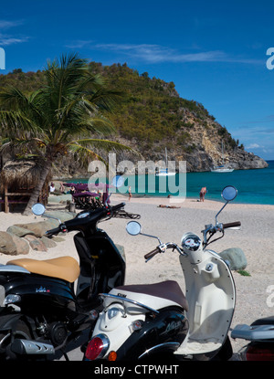 Plage de Shell sur Saint Barth Banque D'Images