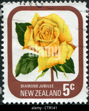 Nouvelle Zélande - circa 1975 : timbre imprimé en Nouvelle-Zélande, montre le genre de roses 'Diamond jubilee', circa 1975 Banque D'Images