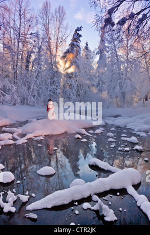 Bonhomme debout sur les petits États insulaires en milieu stream du soleil brillant à travers le brouillard givré hoar, arbres en arrière-plan Jack Russe Banque D'Images