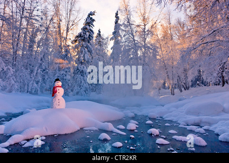 Bonhomme debout sur les petits États insulaires en milieu stream du soleil brillant à travers le brouillard givré hoar, arbres en arrière-plan Jack Russe Banque D'Images