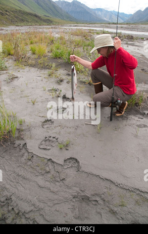Canne à pêche femme Dolly Varden s'agenouille examiner les pistes de l'ours grizzli dans la boue le long de rivière Canning dans Brooks Arctic Banque D'Images