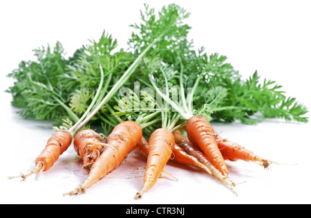 Les carottes avec feuilles sur un fond blanc. Banque D'Images