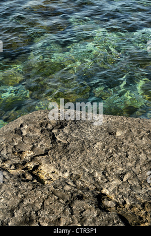 Arrière-plan, bleu, propre, clair, frais, l'environnement, courante, douce, accueillante, nature, personne, dénoyautées, la piscine, la réflexion, refreshin Banque D'Images