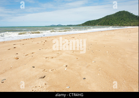 Lauréate de plage à Bingil Bay avec vue sur l'île de Dunk à la distance, Mission Beach, Queensland, Sports et loisirs, Banque D'Images