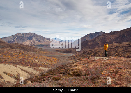 Man photographing vue panoramique près de col polychrome, Denali National Park & préserver, l'intérieur de l'Alaska, l'automne