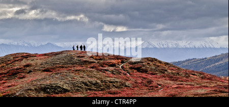 Les visiteurs se tenant sur la crête de bleuets en profitant de la vue, Denali National Park & préserver, l'intérieur de l'Alaska, l'automne, HDR Banque D'Images