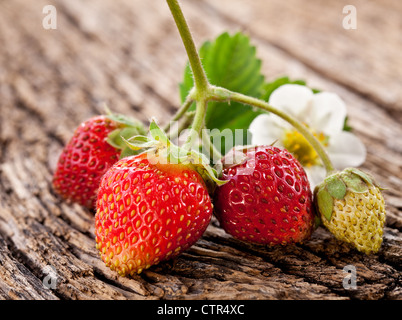 Les fraises avec des feuilles sur la vieille table en bois. Banque D'Images