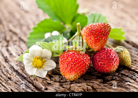 Les fraises avec des feuilles sur la vieille table en bois. Banque D'Images