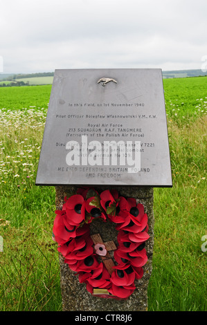 Plaque commémorative de la Seconde Guerre mondiale, le pilote de chasse au-dessus de South Downs Stoughton. Banque D'Images