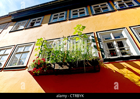 Kraemerbruecke à Erfurt, Thuringe, Thüringen Banque D'Images