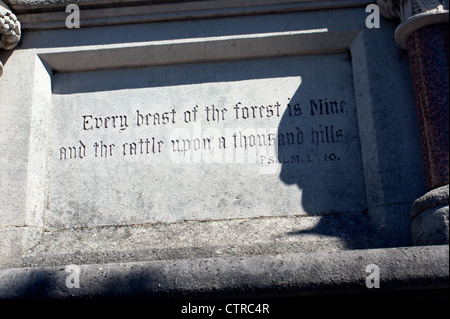 BITTERNE PARK PSAUME TRIANGLE Banque D'Images