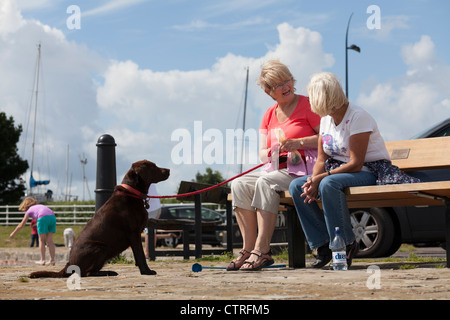 Deux femme était assise sur un banc de travail avec chien de type Labrador brun sur le plomb était assis à les regarder Banque D'Images