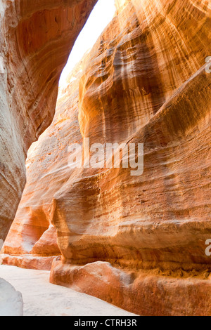 Les murs de grès multicolores de la gorge Siq à Petra, Jordanie Banque D'Images