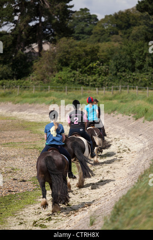 Quatre filles riding ponies le long du chemin côtier à Langston Harbour Banque D'Images