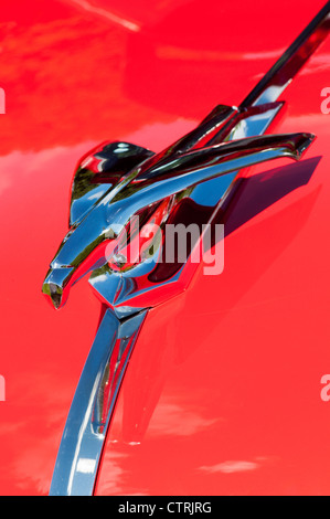 1954 Chevrolet 3100 pickup truck hood ornament Banque D'Images