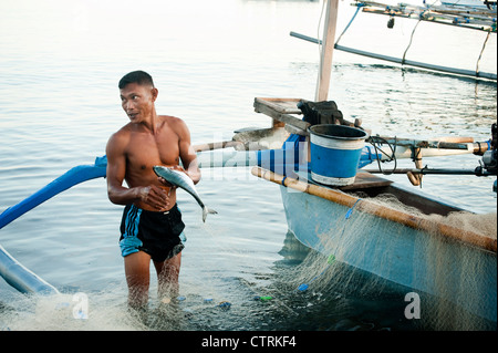 Un pêcheur dans le village balinais de Pemuteran, dans le nord-ouest de Bali décharge ses prises sur la plage après une nuit de pêche. Banque D'Images