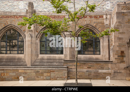 Sterling Memorial Library à l'université de Yale New Haven Banque D'Images