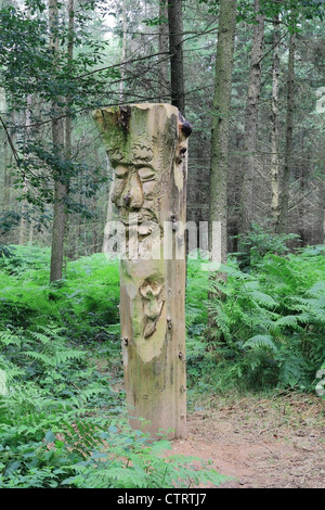 Sculpture en bois sculpté dans la forêt de Wyre, Worcestershire, Angleterre, RU Banque D'Images