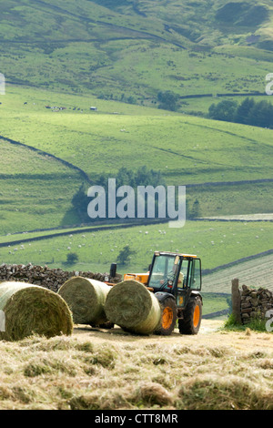 Fenaison dans le Yorkshire Dales, Wharfedale, UK, en Angleterre. Banque D'Images