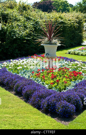 Lobelia erinus 'Crystal Palace' avec 'Savannah frontière Pélargonium Rouge' et le Senecio cineraria 'Cirrus', Jardin Wisley, UK Banque D'Images