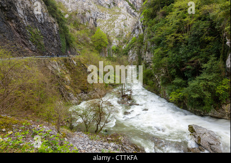 Desfiladero de los Beyos dans le sud-ouest de pente de la Picos de Europa, Asturias, Espagne Banque D'Images