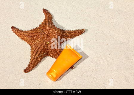 Les étoiles de mer et soleil tube sur sable, closeup Banque D'Images