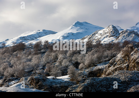 Randonnée sur le lac Ercina, parc national des Picos de Europa, Covadonga, dans les Asturies, Espagne Banque D'Images