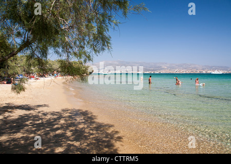 La plage de Psaraliki avec de l'eau claire comme du cristal et de tamaris au bord de la mer, Antiparos, Grèce. Banque D'Images
