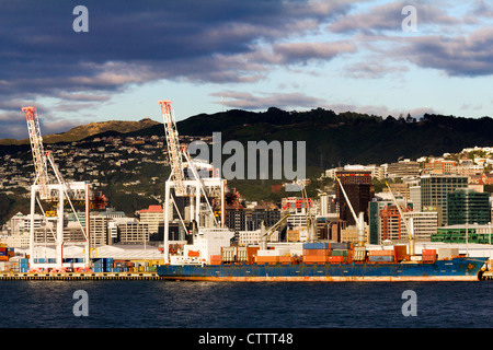 Porte-conteneurs déchargés à Wellington, Nouvelle-Zélande, sunrise Banque D'Images